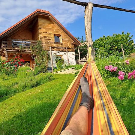 Holiday Home Trnavsko Bogojina Экстерьер фото