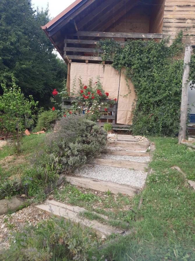 Holiday Home Trnavsko Bogojina Экстерьер фото