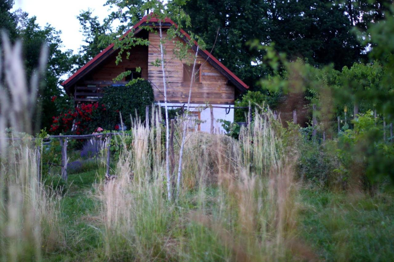 Holiday Home Trnavsko Bogojina Экстерьер фото